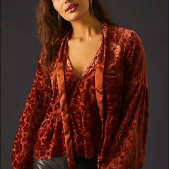 Anthropologie Tops - Anthropologie rust velvet tie neck Floral Blouse